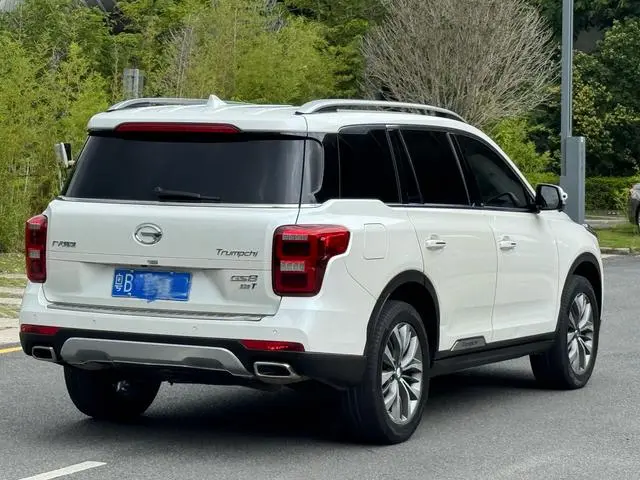 GAC Trumpchi GS8 320T two-wheel drive luxury Zhilian Edition 7 seats