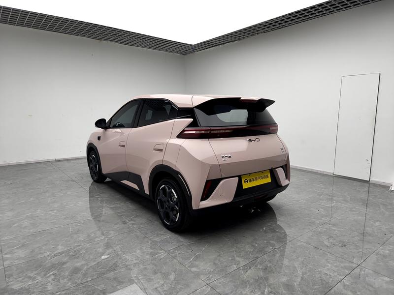 BYD seagull 2025