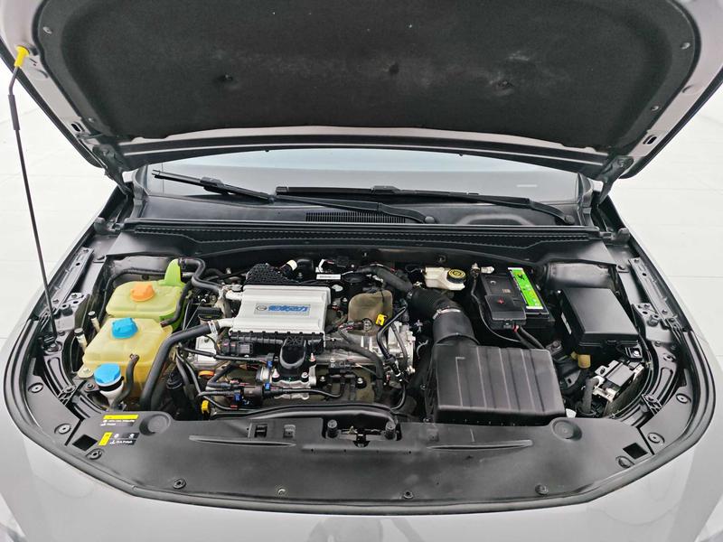Trumpchi Shadow Leopard 2021