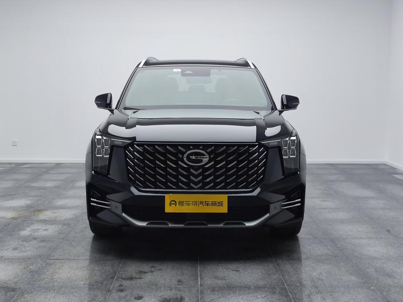 Trumpchi Trumpchi GS8 2022