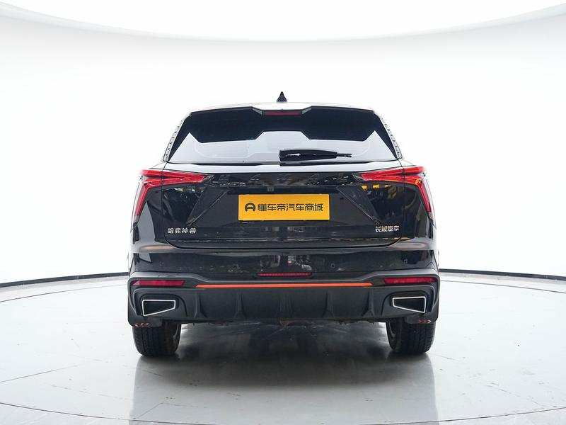Haval Haval Divine Beast 2021