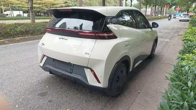 BYD Seagull 305KM Vitality Edition