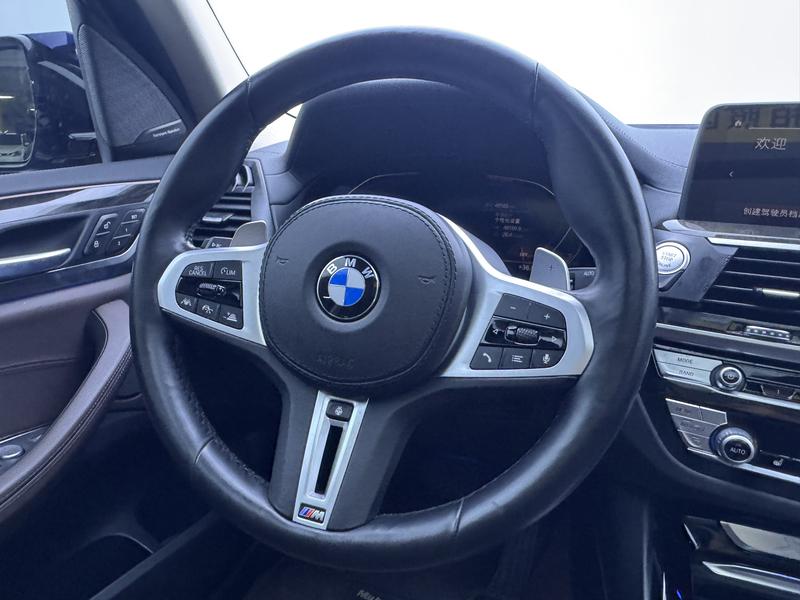 BMW BMW X3 2021