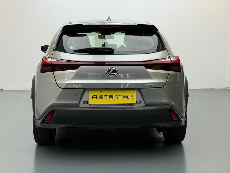 Lexus Lexus UX 2020