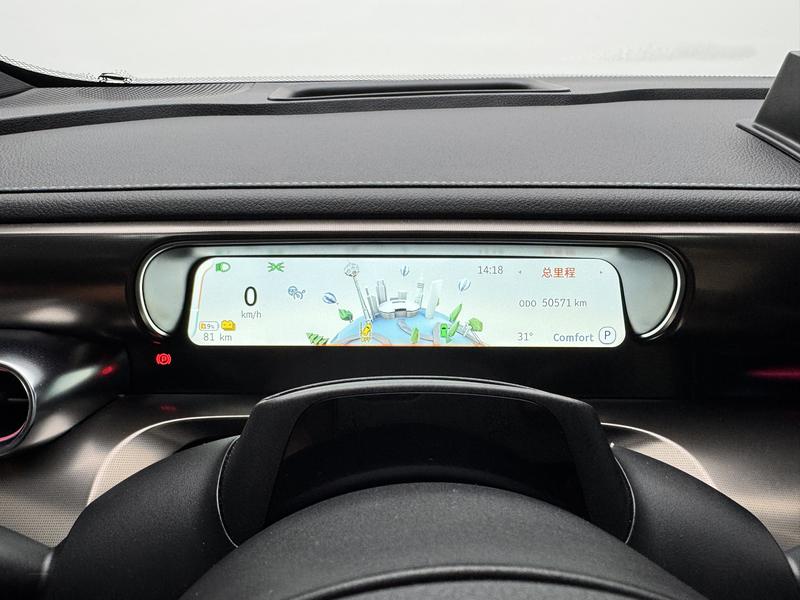 smart Smart Elf # 1 2024