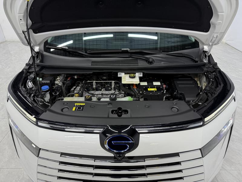Trumpchi Trumpchi E8 2024