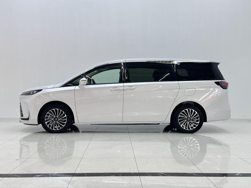 Buick Buick GL8 PHEV 2025