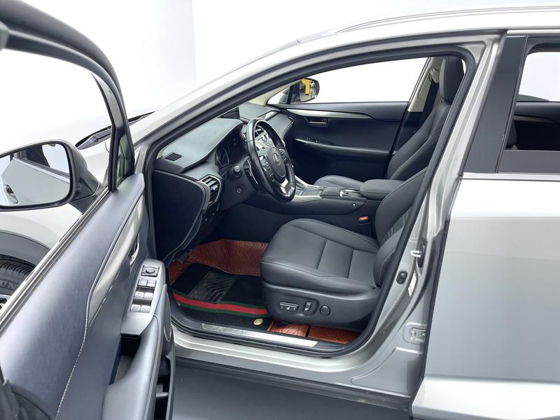 Lexus Lexus NX 2020