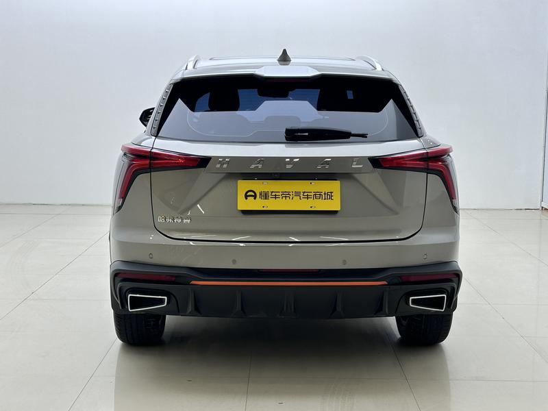 Haval Haval Divine Beast 2021