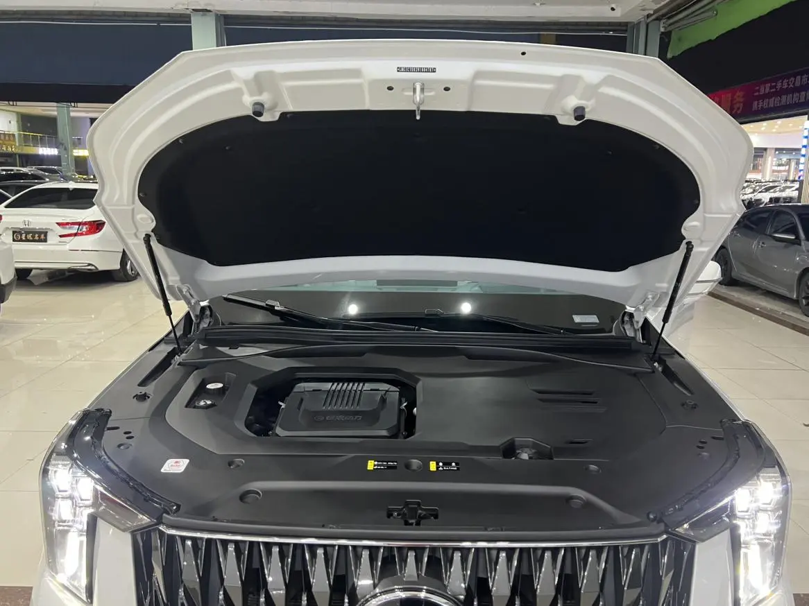 GAC Trumpchi GS8 Dual engine series 2.0TM hybrid four-wheel drive Premium 6-seater