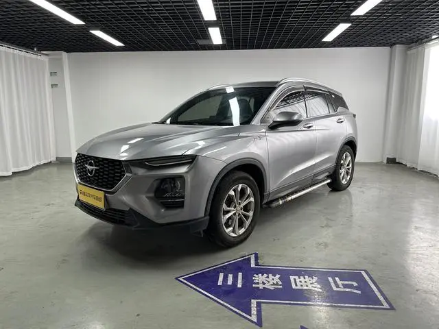 Haima Seahorse 8S 1.6T automatic tide version