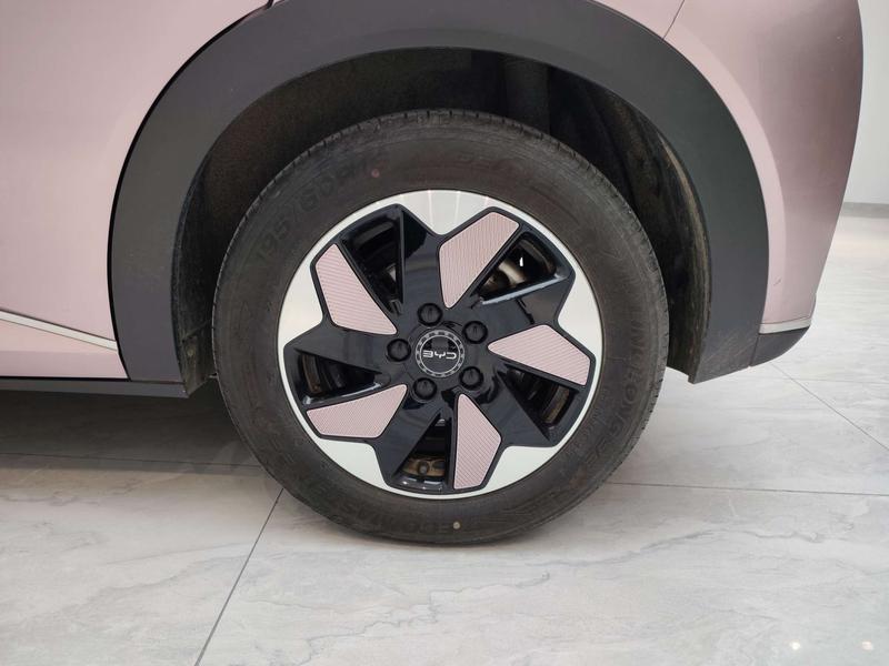 BYD dolphin 2024