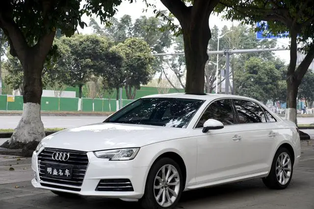 Audi Audi A4L 30th anniversary type 40 TFSI aggressive type