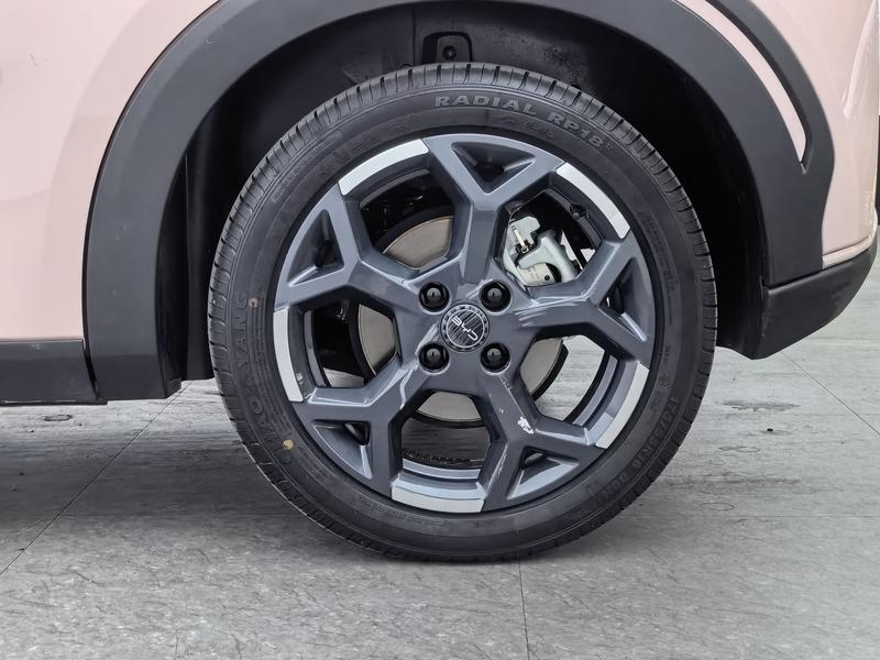 BYD seagull 2025