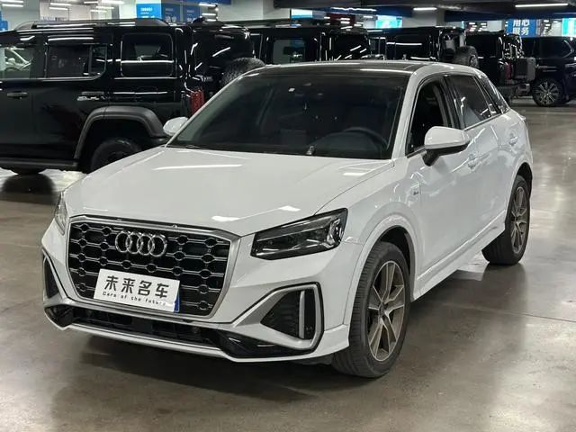 Audi Audi Q2L 35 TFSI fashion dynamic type