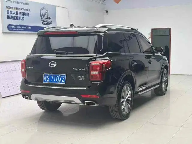 GAC Trumpchi GS8 320T two-wheel drive luxury Zhilian Edition 7 seats