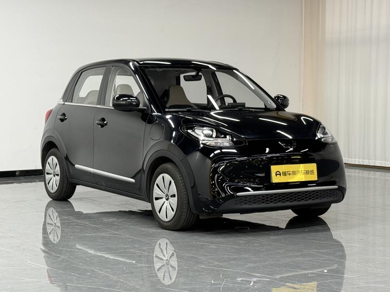 Wuling Wuling Binguo 2023