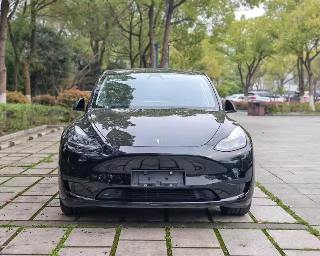 Tesla Model Y Rear-wheel drive version