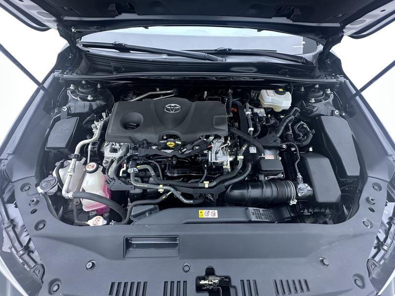 Toyota Asian Dragon 2019