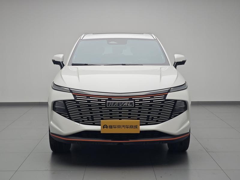 Haval Haval Divine Beast 2021