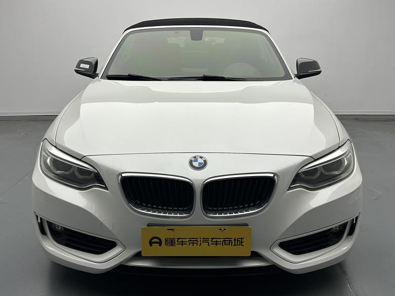 BMW BMW 2 Series (imported) 2015