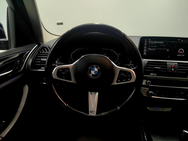 BMW BMW X3 2021