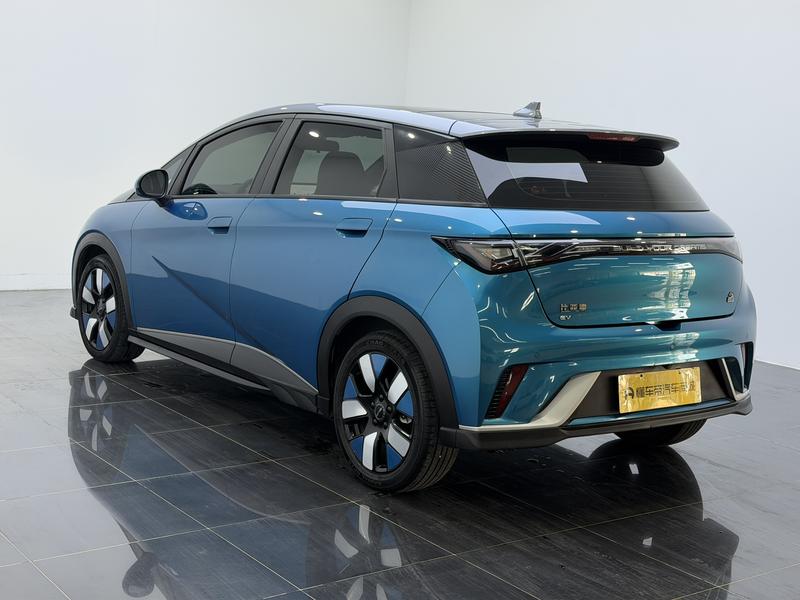 BYD dolphin 2021