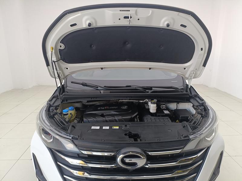 Trumpchi GAC Trumpchi M6 2019