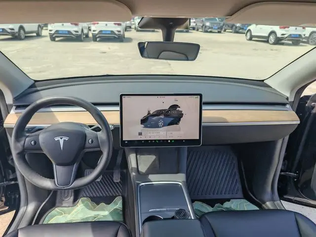 Tesla Model Y Rear-wheel drive version