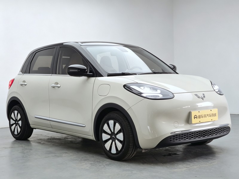 Wuling Wuling Binguo 2023