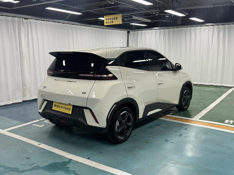 BYD seagull 2024