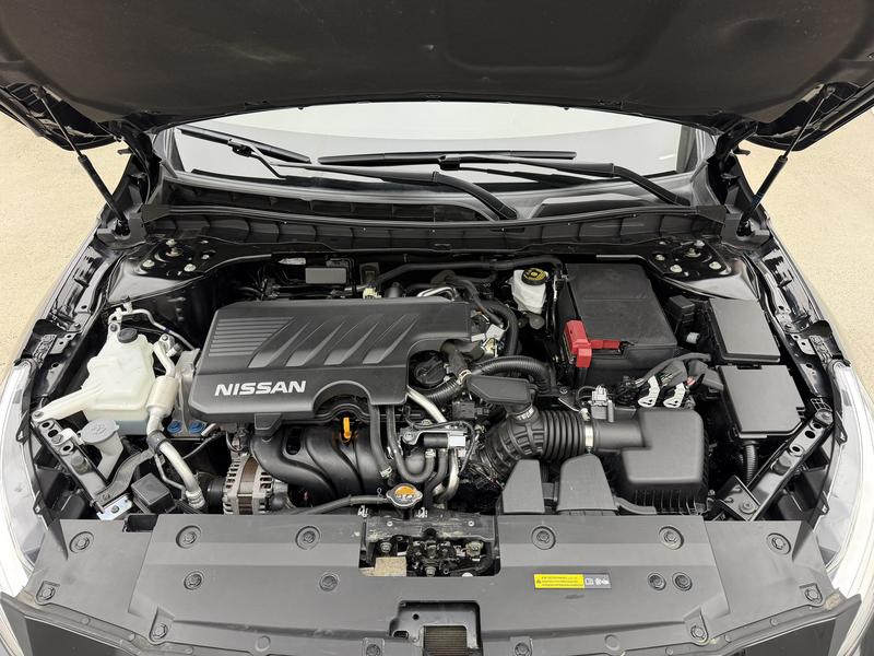 Nissan Sounds of Nature 2020
