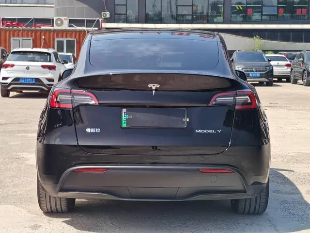 Tesla Model Y Rear-wheel drive version