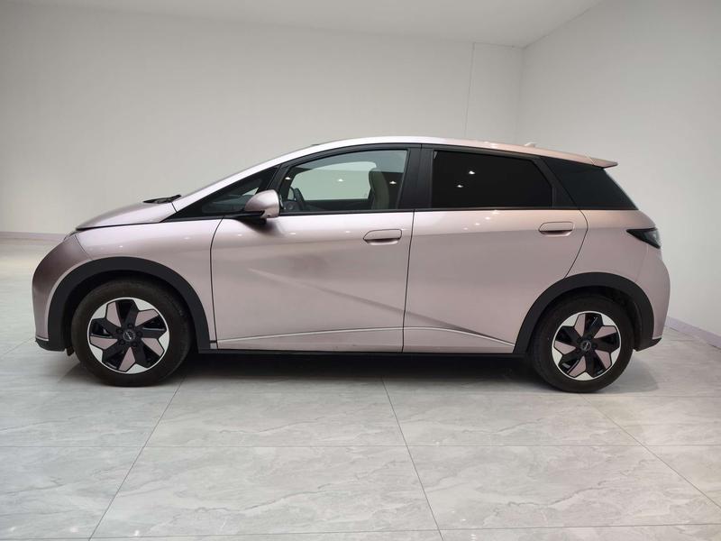 BYD dolphin 2024