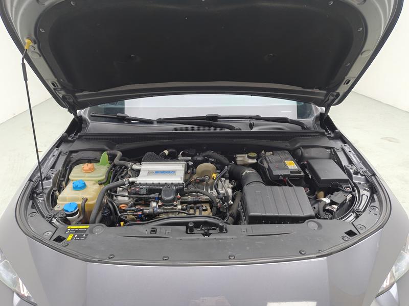 Trumpchi Shadow Leopard 2021