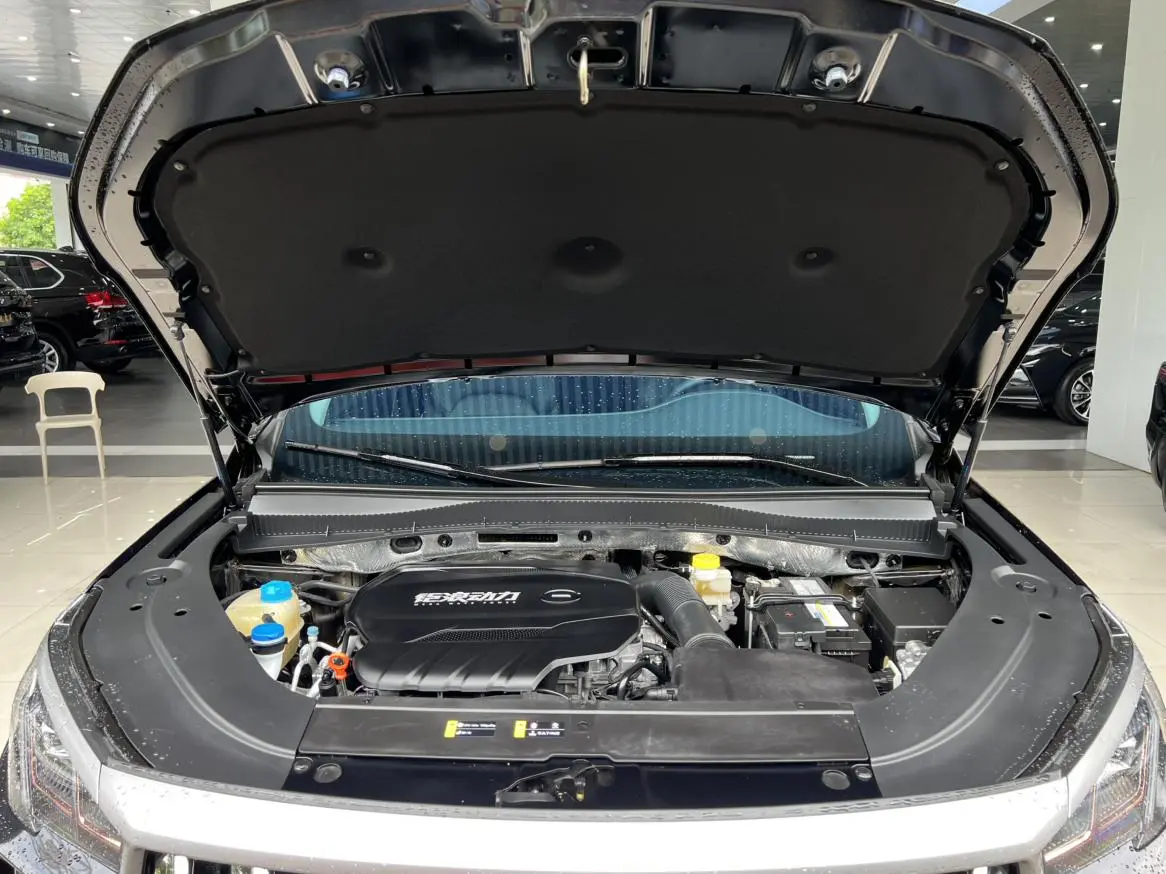 GAC Trumpchi GS4 PLUS 390T automatic Nebula version