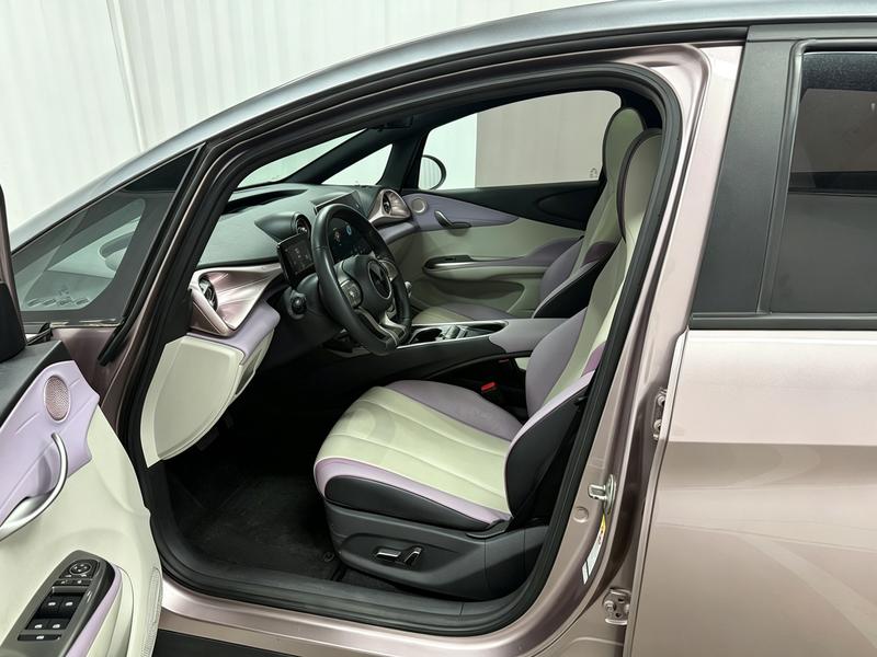 BYD dolphin 2021