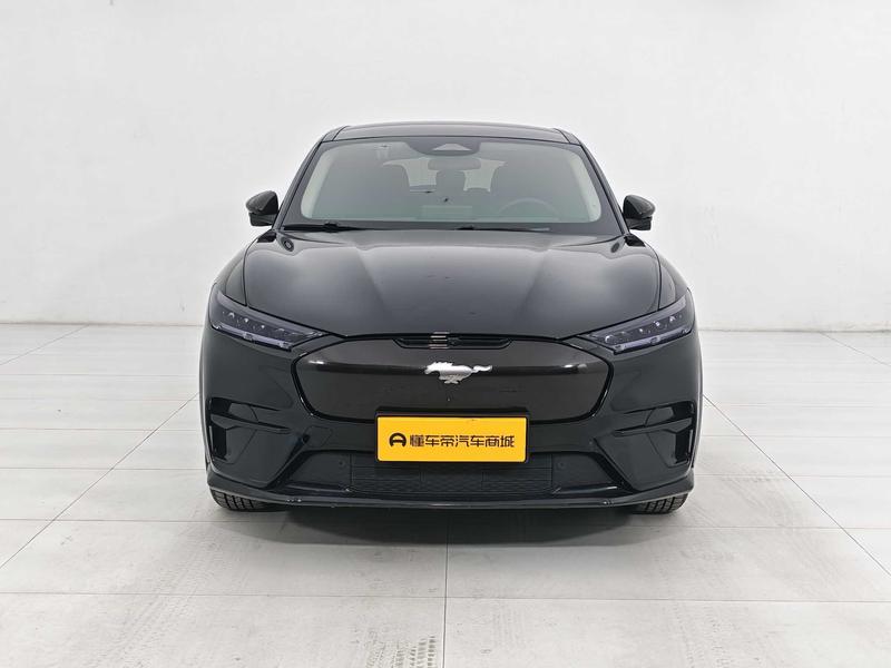 Ford Ford Electric Horse 2021