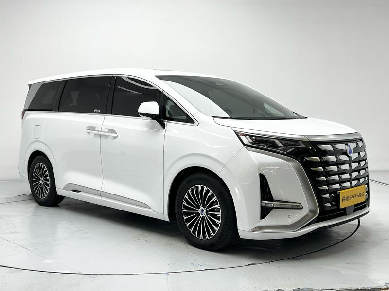 Denza Tengshi D9 DM 2024