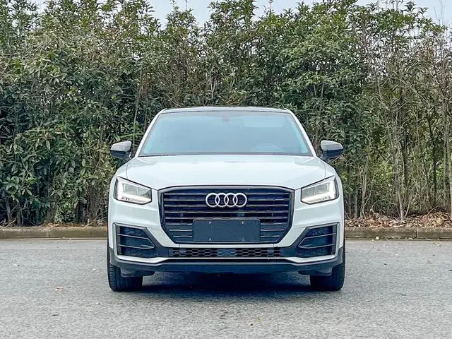 Audi Audi Q2L 35TFSI aggressive dynamic type