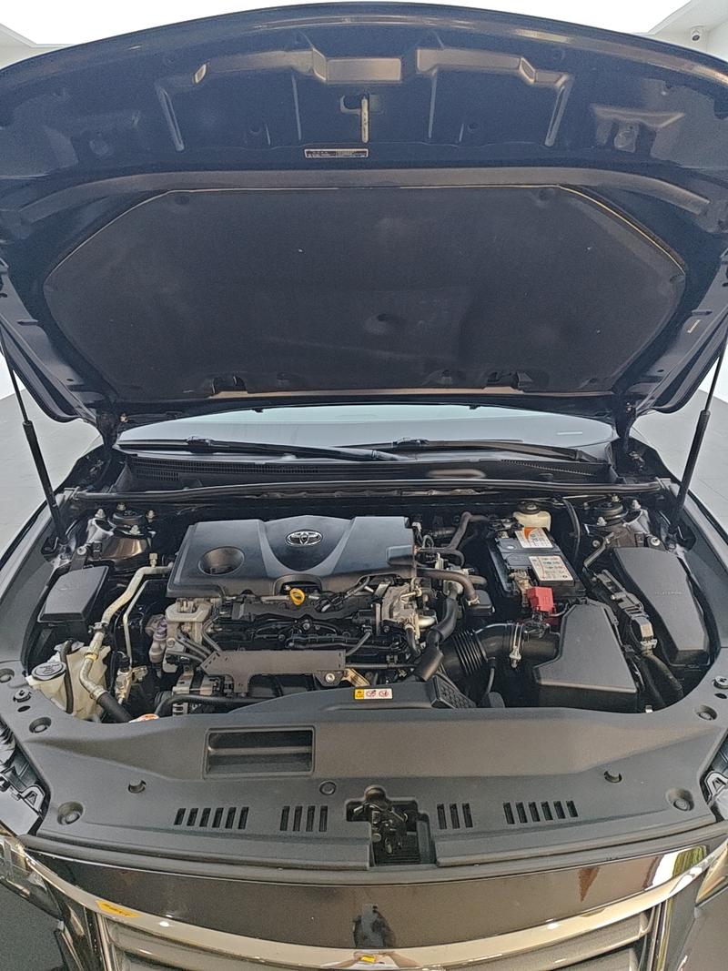 Toyota Asian Dragon 2019
