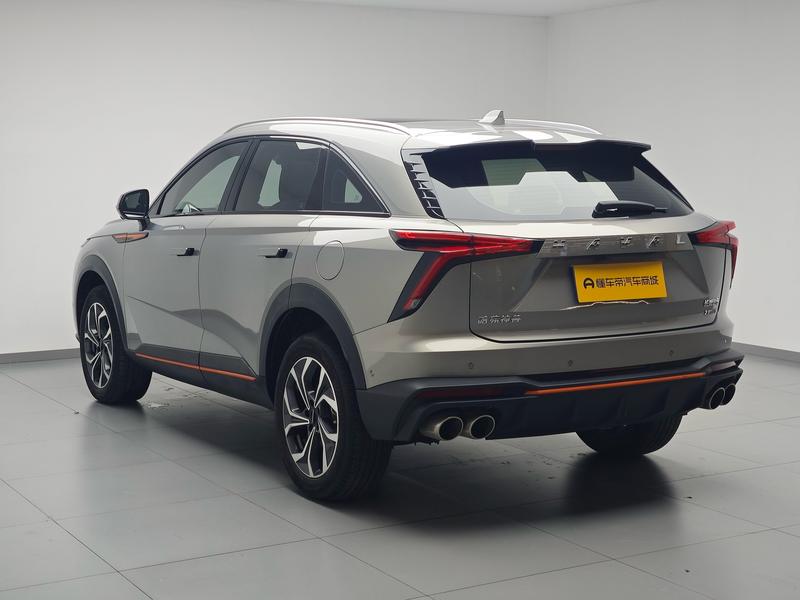 Haval Haval Divine Beast 2021