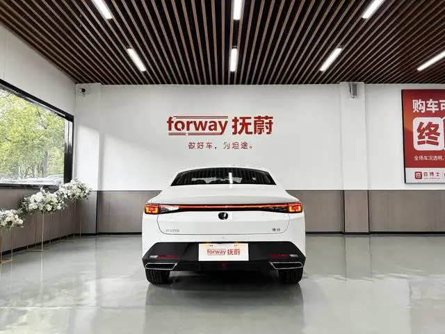 Changan Yidong PHEV Smart new Blue Whale 145KM high-energy version