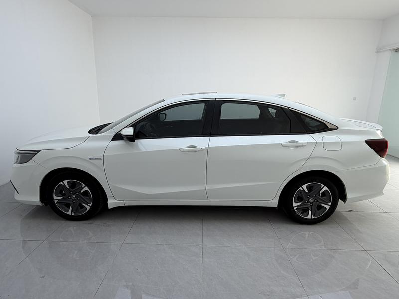 Honda Enjoying the Domain 2021