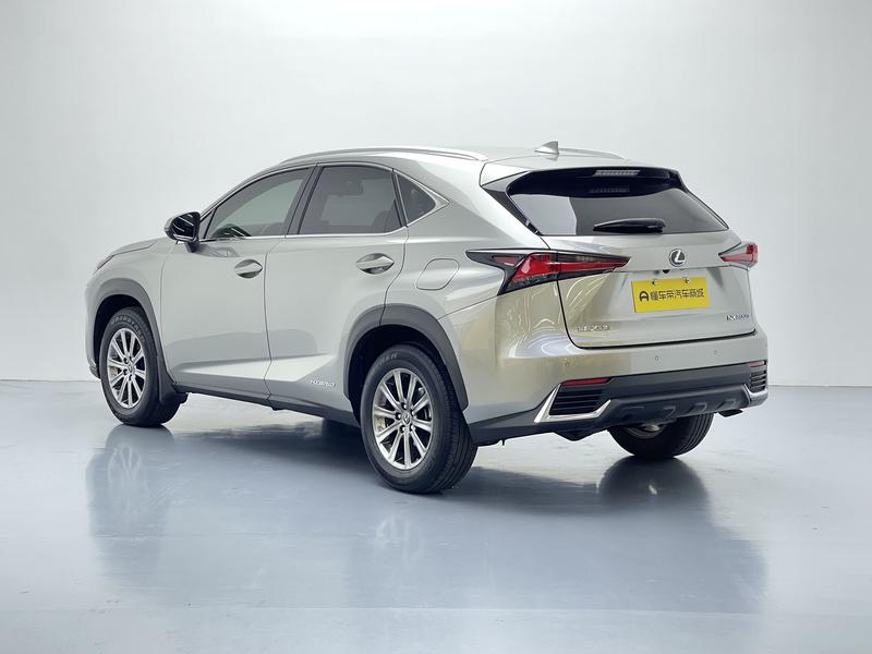 Lexus Lexus NX 2020