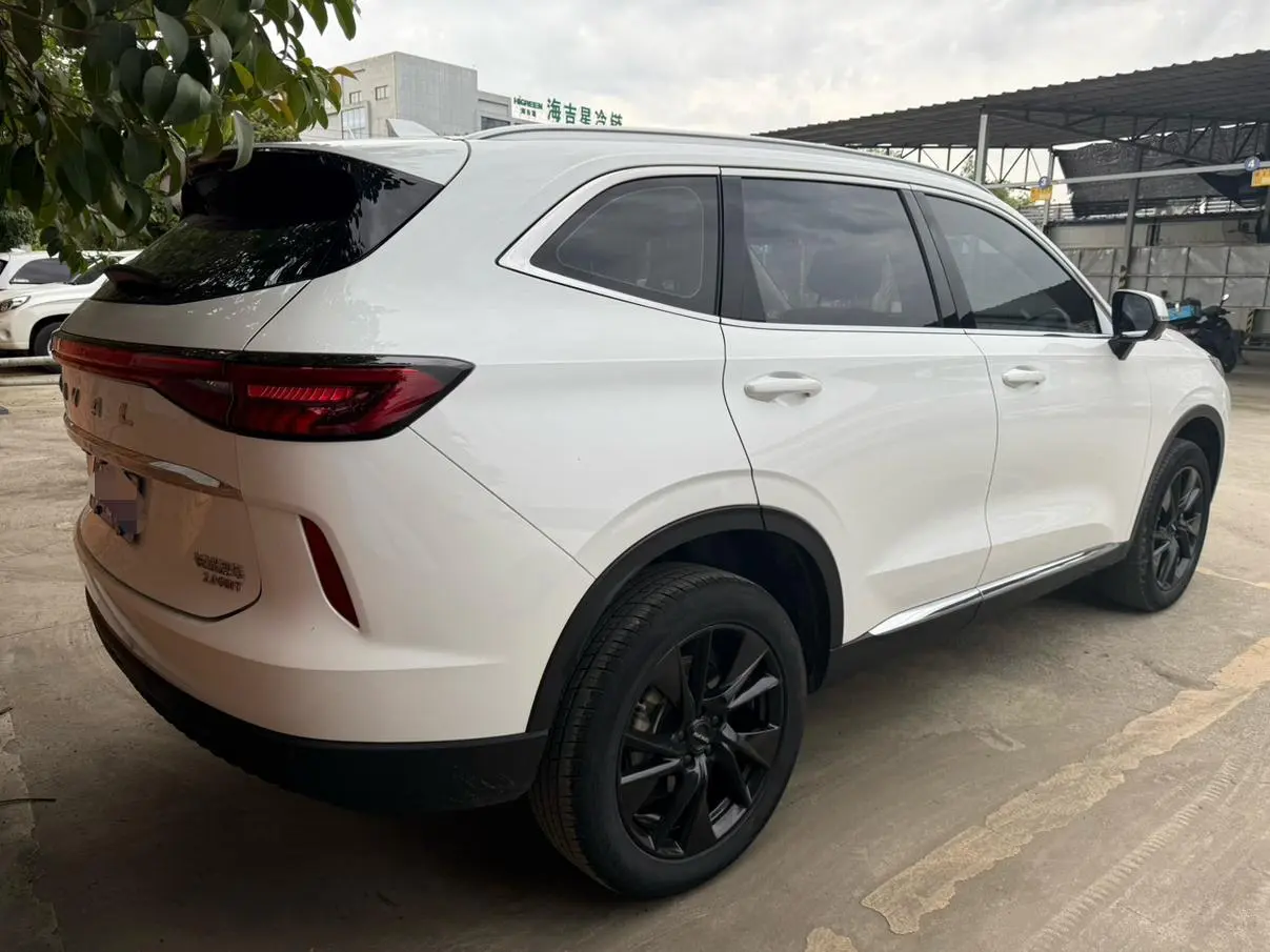 Haval Haval H6 The third generation 2.0T automatic four-wheel drive Max version