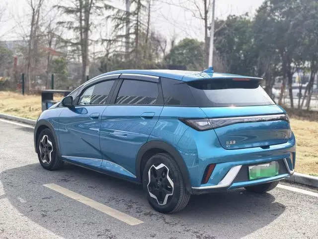 BYD dolphin Fashion edition