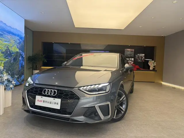 Audi Audi A4L 40 TFSI luxury Dynamic Type