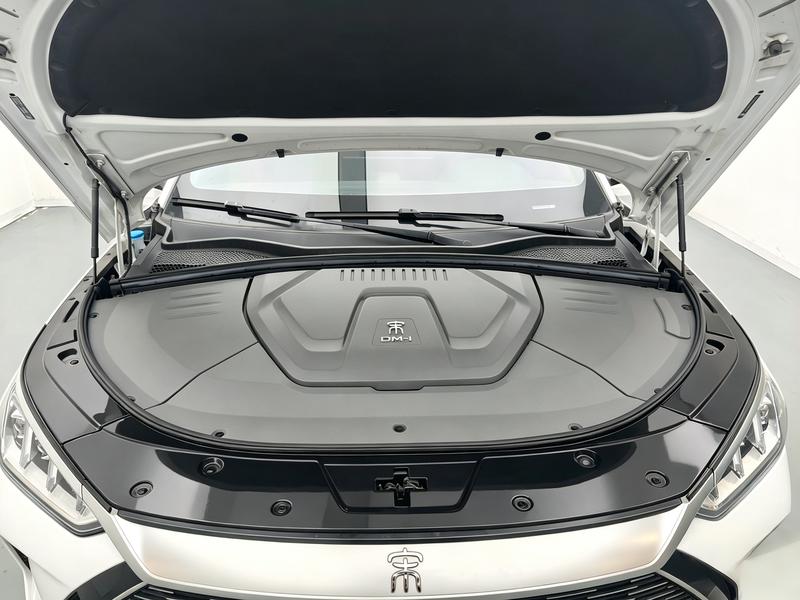BYD Song PLUS DM 2021