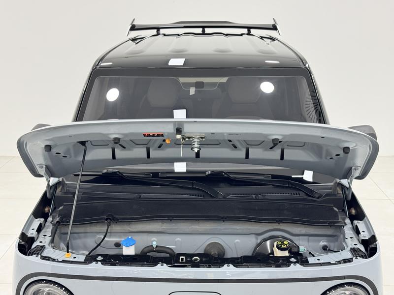Geely Galaxy panda 2025